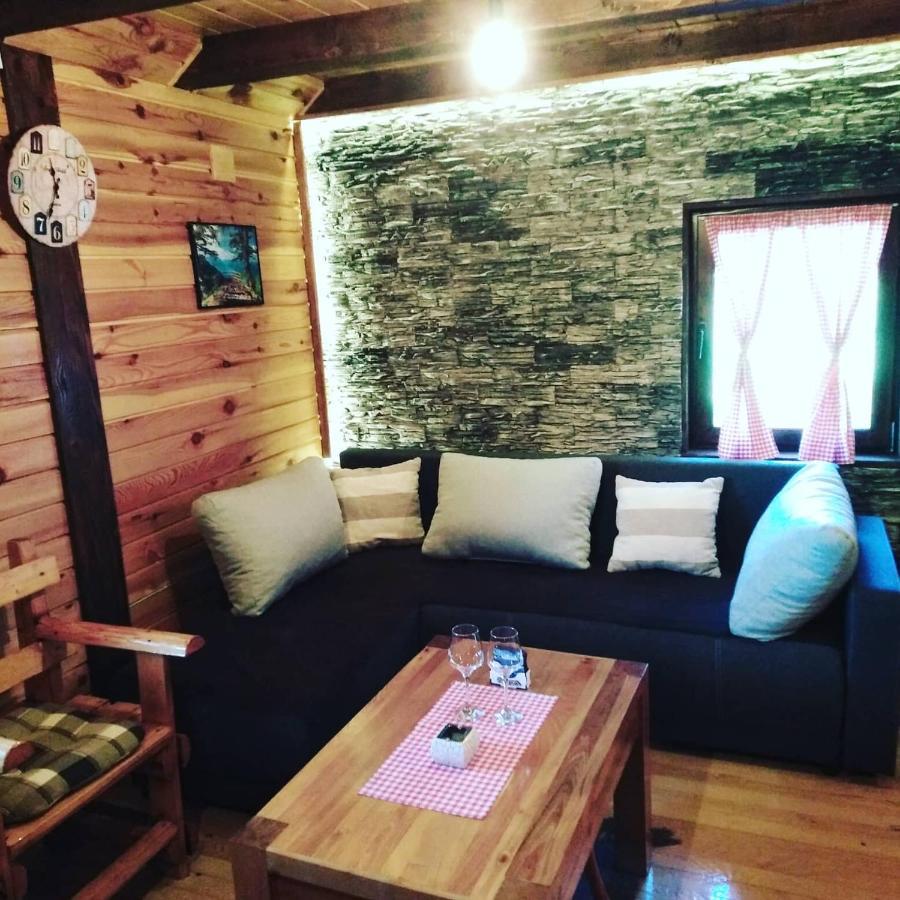 Вилла Brvnara Na Bregu Баина-Башта Экстерьер фото
