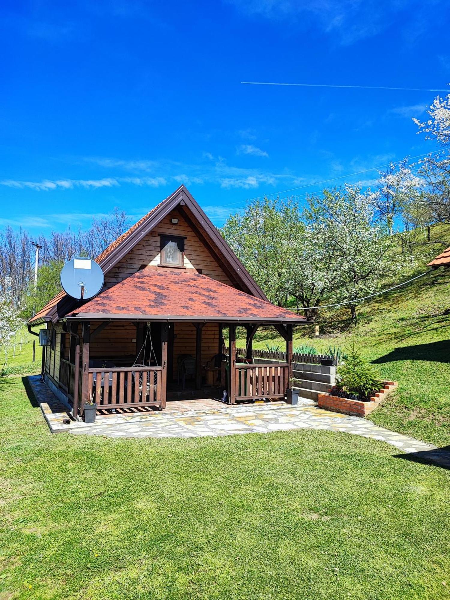 Вилла Brvnara Na Bregu Баина-Башта Экстерьер фото